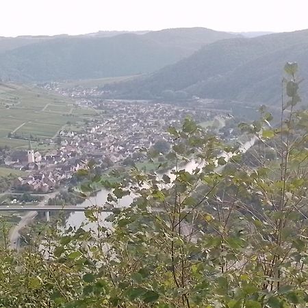 Ferienwohnungen Am Bruttiger Moselsteig Bruttig-Fankel Exterior foto