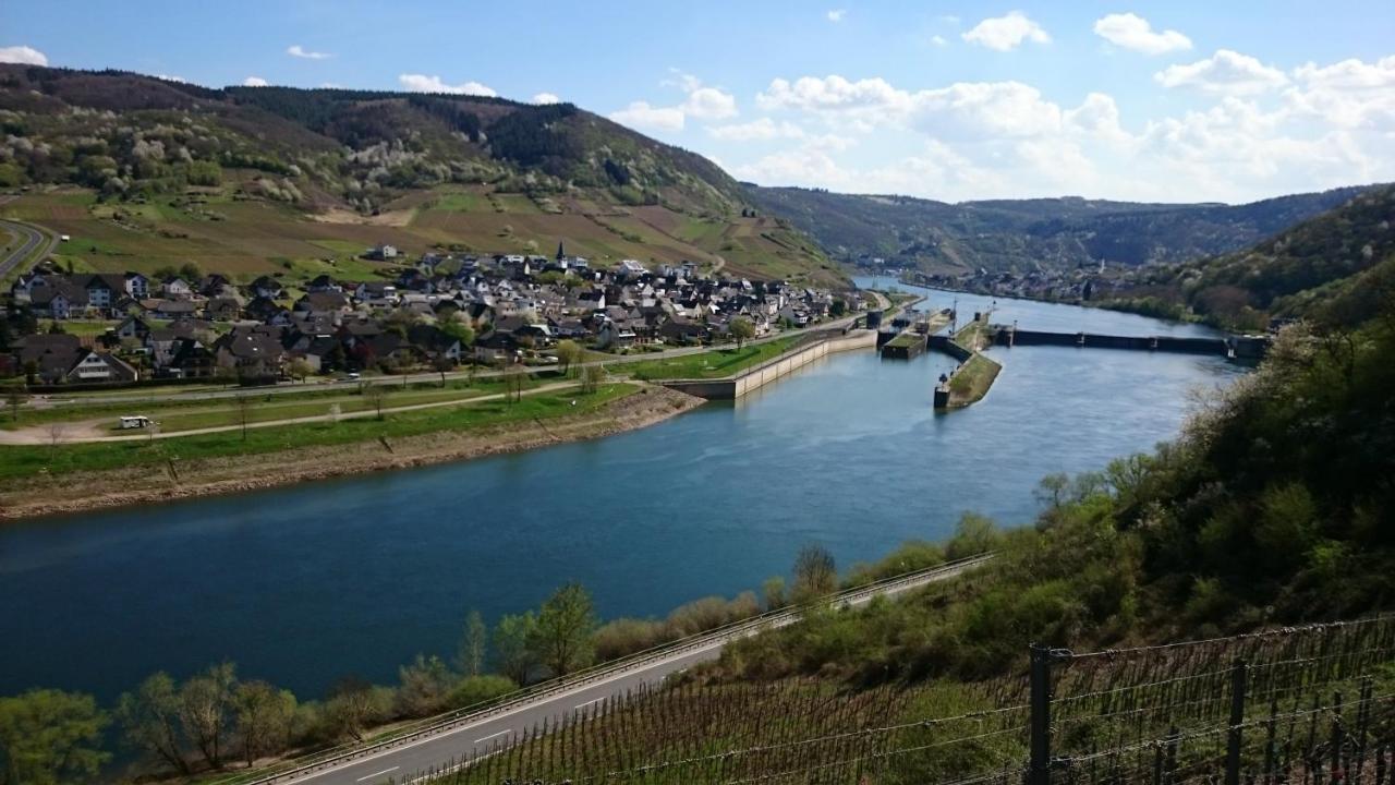 Ferienwohnungen Am Bruttiger Moselsteig Bruttig-Fankel Exterior foto