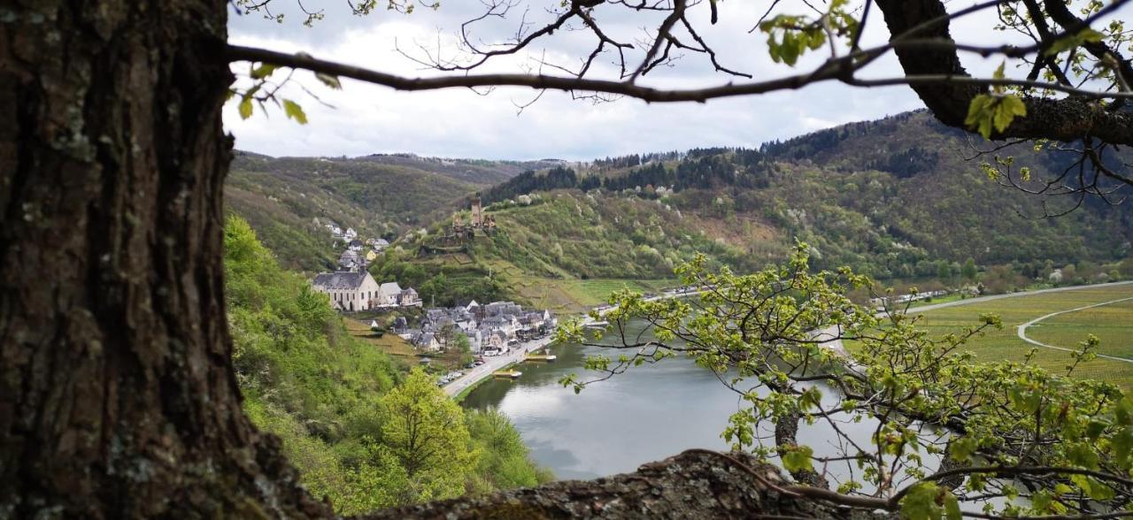 Ferienwohnungen Am Bruttiger Moselsteig Bruttig-Fankel Exterior foto