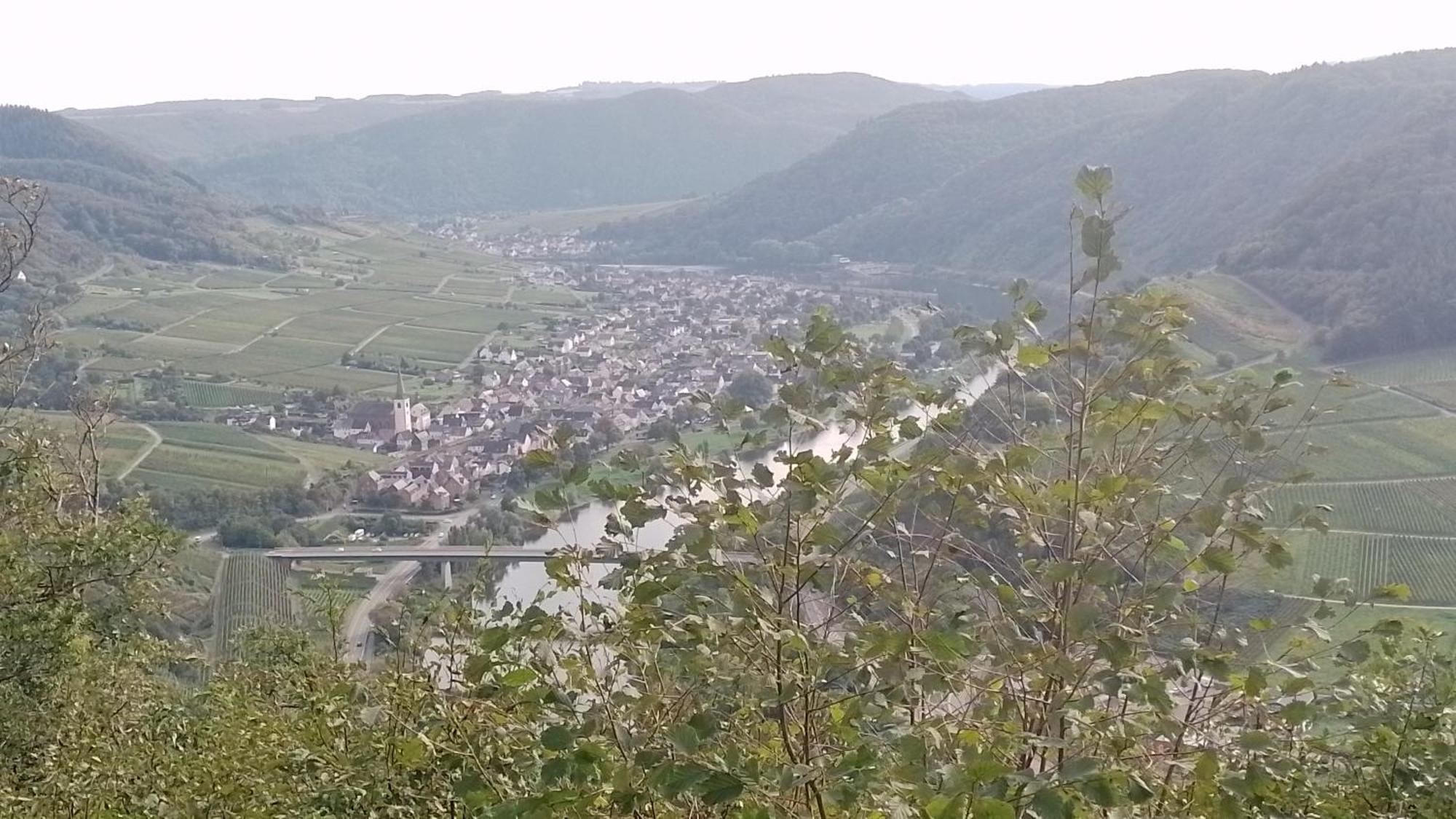 Ferienwohnungen Am Bruttiger Moselsteig Bruttig-Fankel Exterior foto