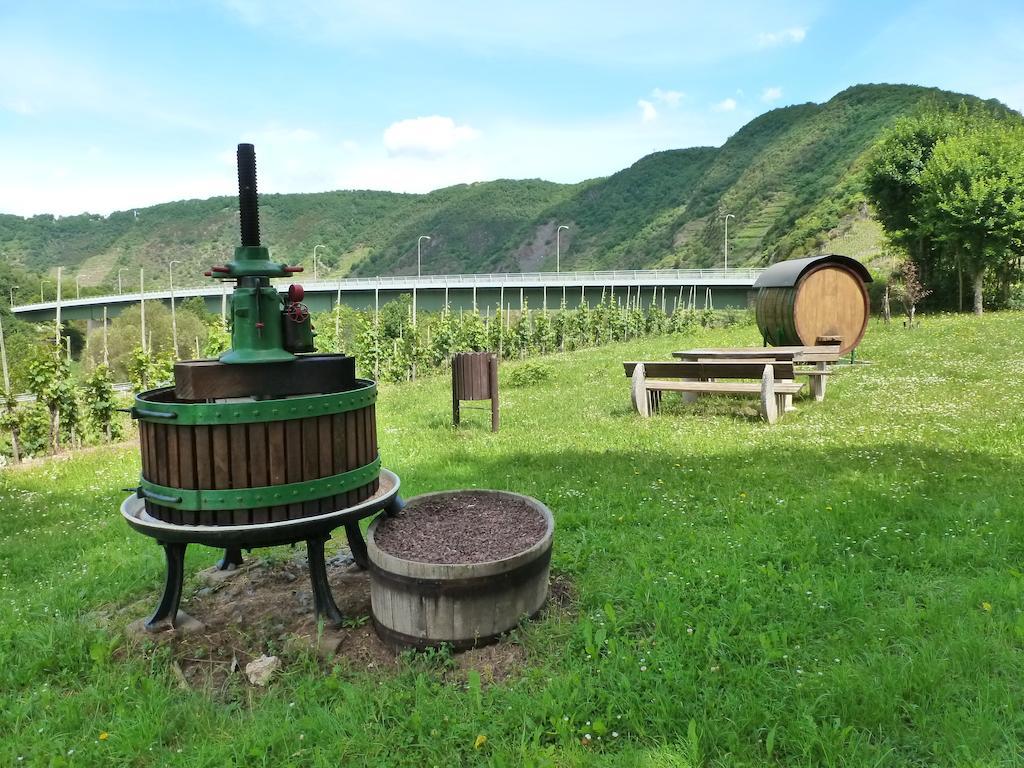 Ferienwohnungen Am Bruttiger Moselsteig Bruttig-Fankel Quarto foto