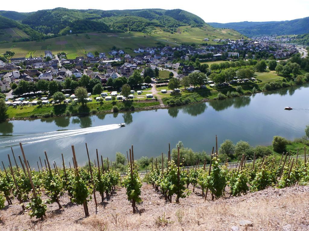 Ferienwohnungen Am Bruttiger Moselsteig Bruttig-Fankel Exterior foto