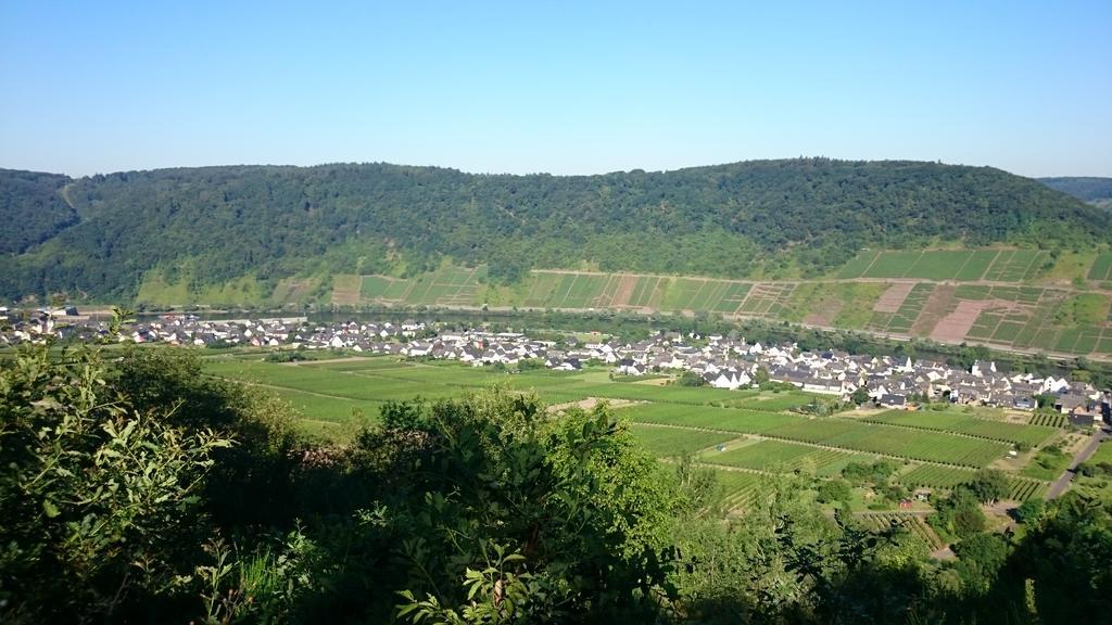 Ferienwohnungen Am Bruttiger Moselsteig Bruttig-Fankel Exterior foto