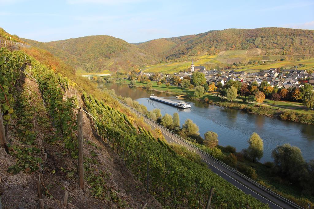 Ferienwohnungen Am Bruttiger Moselsteig Bruttig-Fankel Exterior foto