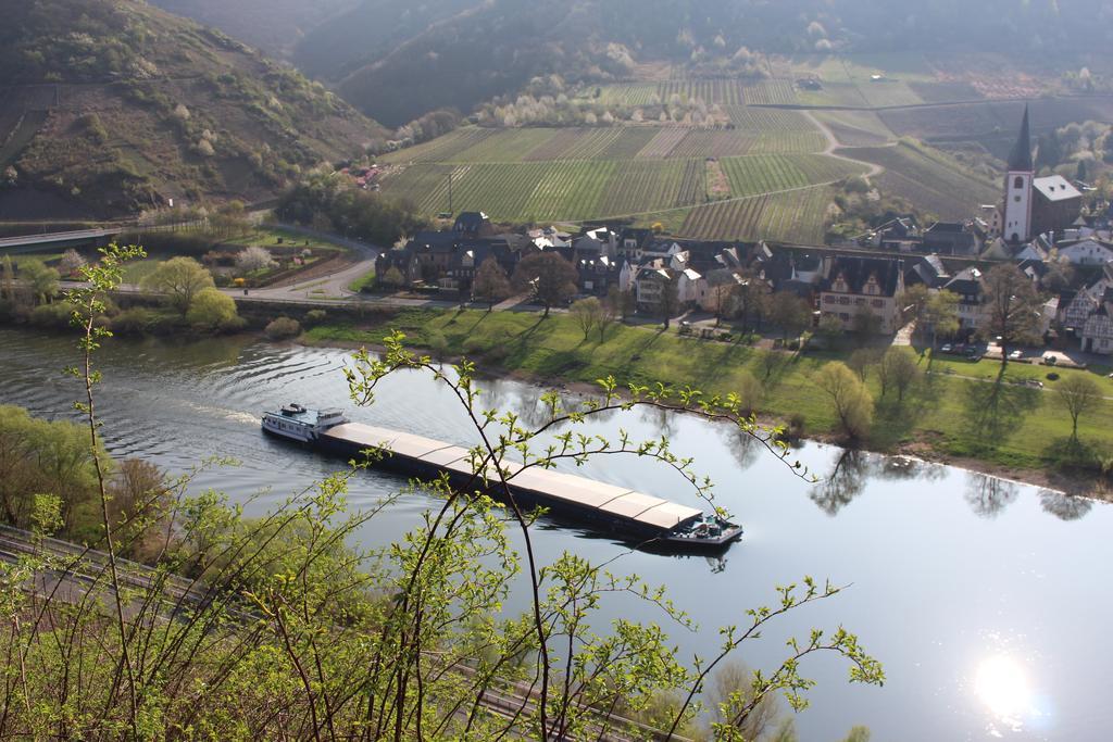 Ferienwohnungen Am Bruttiger Moselsteig Bruttig-Fankel Exterior foto