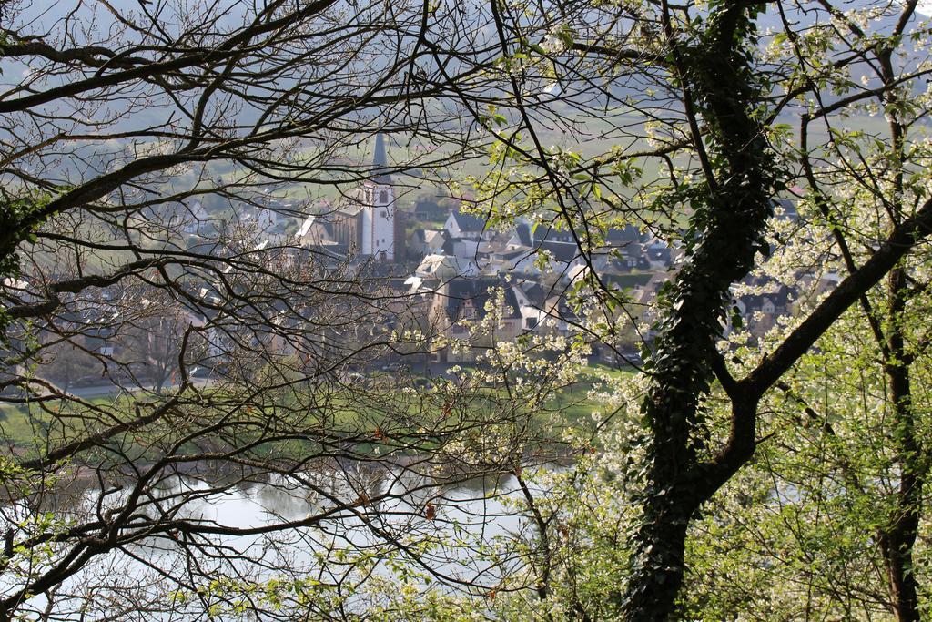 Ferienwohnungen Am Bruttiger Moselsteig Bruttig-Fankel Exterior foto