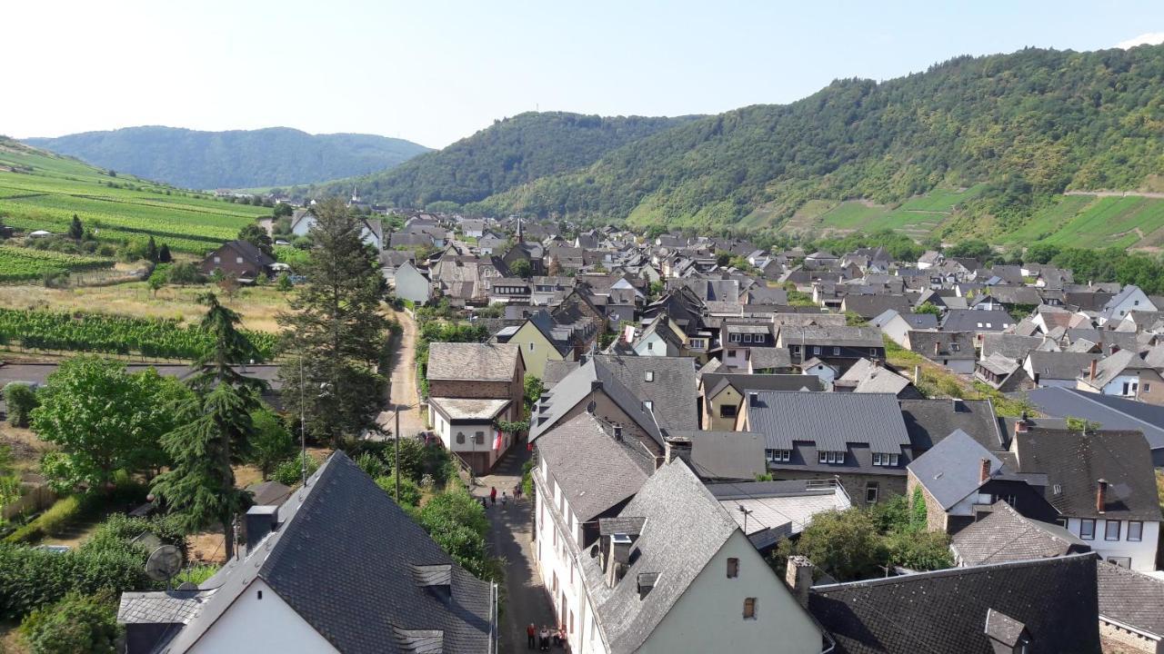 Ferienwohnungen Am Bruttiger Moselsteig Bruttig-Fankel Exterior foto