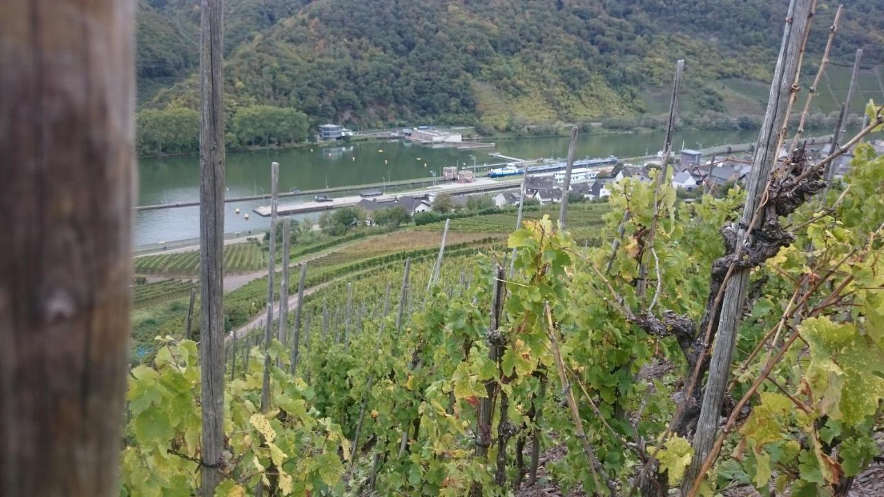 Ferienwohnungen Am Bruttiger Moselsteig Bruttig-Fankel Exterior foto