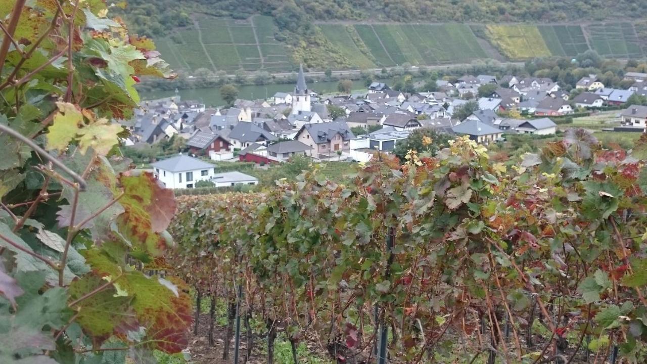 Ferienwohnungen Am Bruttiger Moselsteig Bruttig-Fankel Exterior foto